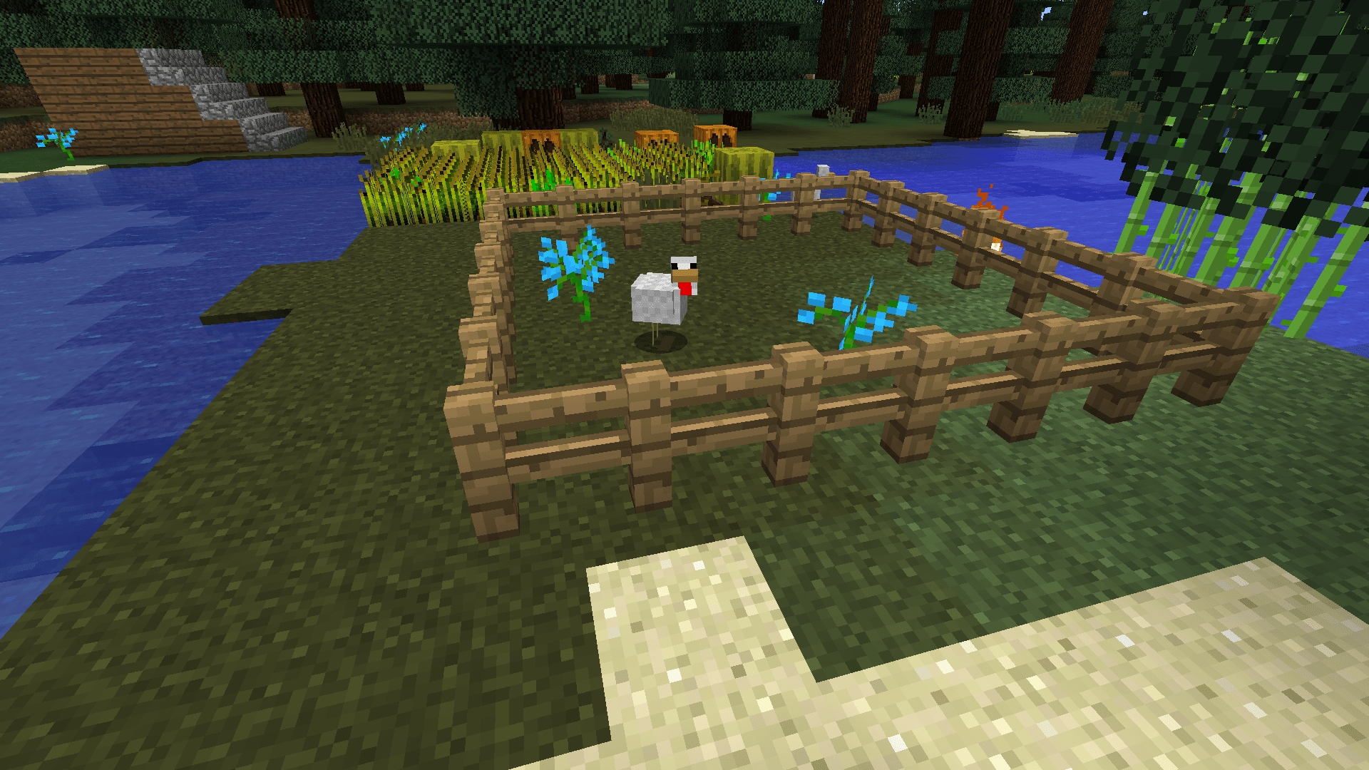 domaine_david_p_proulx (8)